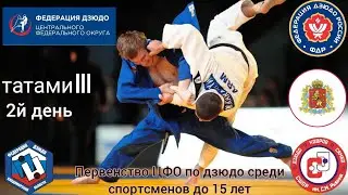 Первенство ЦФО по дзюдо среди спортсменов до 15 лет 2й день татами 3