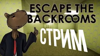 Играем в backrooms с подписчиками + ВЕБКА | Ескейп зе бекрумс 2024