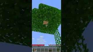 Собрал Реалистичные #Моды для #Майнкрафт - Топ 3 Модов для Minecraft