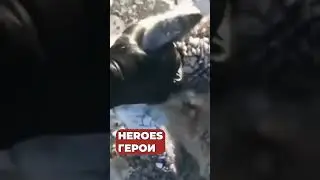 МУЖЧИНА СПАС ОЛЕНЯ, КОТОРЫЙ ЗАСТРЯЛ ВО ЛЬДУ / A deer was rescued from ice