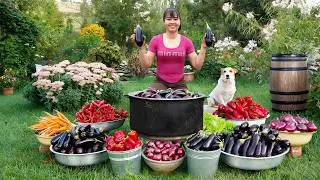 Harvesting Lots Of Eggplant Goes To Countryside Market Sell, Cooking Dinner - Daily Life