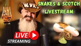 Snakes & Scotch LIVESTREAM: Huge Q&A