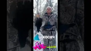 косач