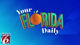 Your Florida Daily 6.11.2024