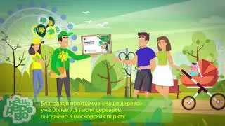 Наше дерево