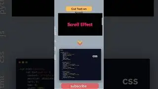 Advanced Scroll Animation with Zero Libraries! 🚀🔥