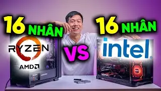 Lý do tại sao INTEL ngon hơn AMD trong tầm giá 2024