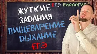 Жуткие задания | Пищеварение и дыхание | ЕГЭ БИОЛОГИЯ