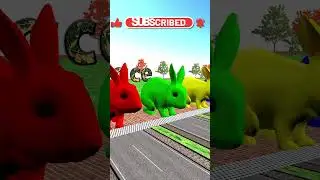 Rabbit Race - Colorful Rabbit Racing #shorts
