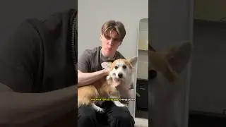Мохнатая в край очешуела 