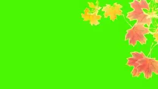 Leafs Green Screen, Falling Animation Leaves Green Screen, Falling leaf animated Green Screen
