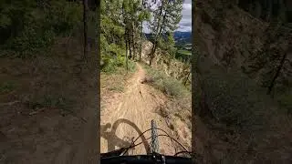 Dreamy trail on a ridge!