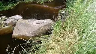 Podążaj za marzeniami