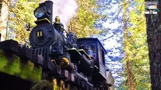 MINIATURE Steam Train: Redwood Valley Railway