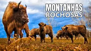 MONTANHAS ROCHOSAS | A Fronteira Selvagem da América do Norte - Documentário