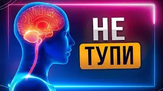 Проверь: ты ТУПОЙ или УМНЫЙ? Упражнения для развития мозга