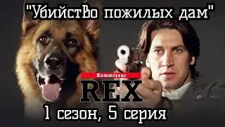 Комиссар Рекс, 1 сезон, 5 серия (