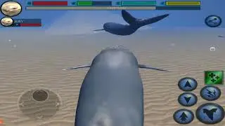 Blue Whale VS Shark, Orca, Dolphin, Octopus, Ultimate Ocean Simulator