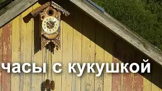 Часы с кукушкой. Скворечник или синичник