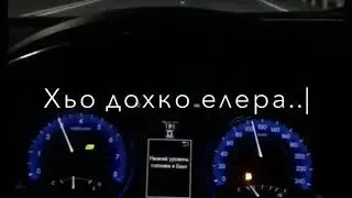 Хьо дохко елира💔