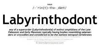 Pronunciation of Labyrinthodont | Definition of Labyrinthodont