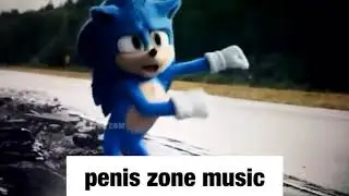 sonic penis zone music