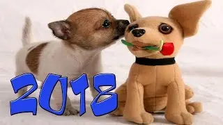 Встречаем 2018  год  PSP Бесплатно