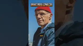 Самый большой зверь у берегов Антарктиды, он приплыл туда из Аральского моря.
