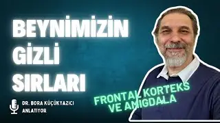 İnsan Beyninin Haritası: Her Bölüm Ne İş Yapar? İlginç Bilgiler!