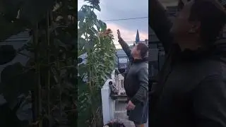 3 метра за 3 месяца