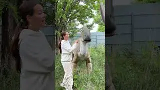 КОГО ВЫБЕРЕТ ЧАПИ?🐾🐾🐾