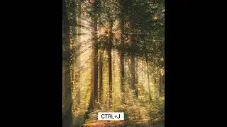 How to Create Realistic Sun Rays in Photoshop - Tutorial ! 