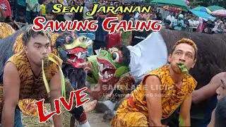 Macan-Macanan Jaranan Sawung Galing Live Desa Tamansari