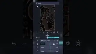 Wait for End HDR & Brown Colour Video Editing in Alight HDR CC Effect Alight Effect Brown colour