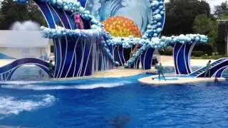 SeaWorld -  Wednesday, September 6, 2013