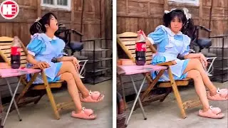 30 Most Ridiculous Moments Taken with a Camera!