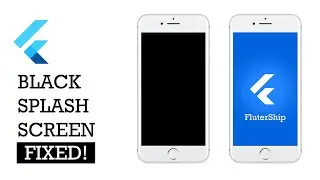 [SOLVED] Flutter startup splash screen page black screen problem | Launch Screen Bug 