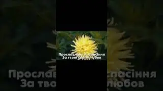 Бог спаситель мій  #пісня  #українськамузика  #українськіпісні