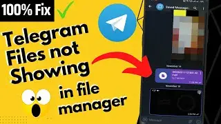 Telegram Video Not Showing in File Manager (100% Fix) | Telegram File Download Problem