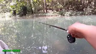 Umpan pelet buat ikan wader/beunteur
