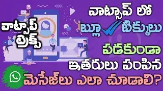 How to Disable BlueTicks in Whatsapp? - వాట్సాప్ లో బ్లూ టిక్కులు డిసేబుల్ చేయడం ఎలా?