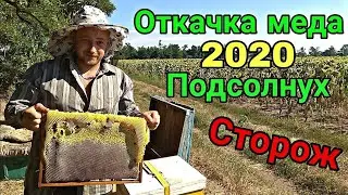 ОТКАЧКА МЕДА 2020 на ГЛАВНОМ ВЗЯТКЕ !!!