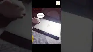 Story of Coder Bunny 