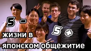 ПЛЮСЫ И МИНУСЫ ЯПОНСКОГО ОБЩЕЖИТИЯ Сколько Стоит Арендная Плата?