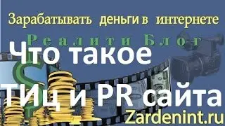 Что такое ТИЦ и PR сайта и от чего они зависят