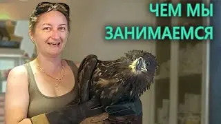 Чем мы занимаемся - стационар Центра "Сирин"