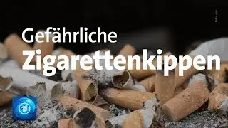 Gefahr für die Umwelt: Zigarettenstummel