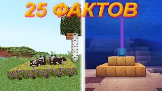 25 фактов о блоках Minecraft, которых вы точно не знали!