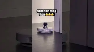He’s having the best time of his 🤖 life 
