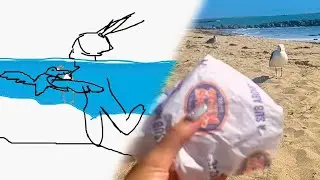a seagull STOLE my sandwich